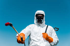 Best Commercial Pest Control  in Little River Academy, TX